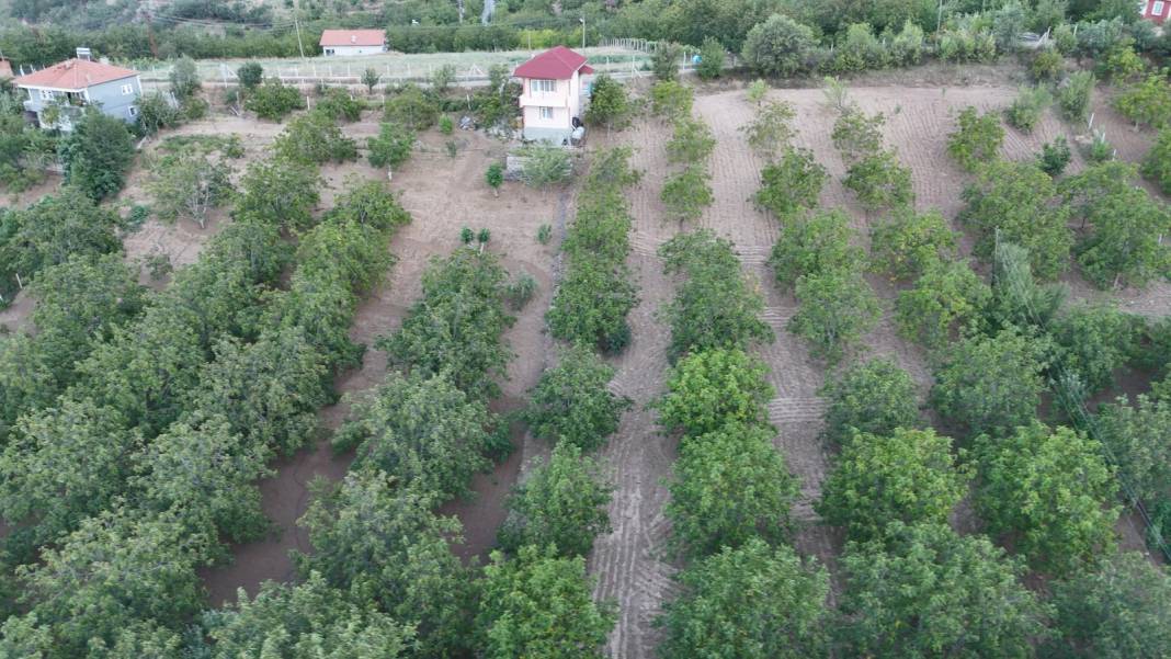 Dalından inmeden alıcı buluyor: Rekor talep görecek 3